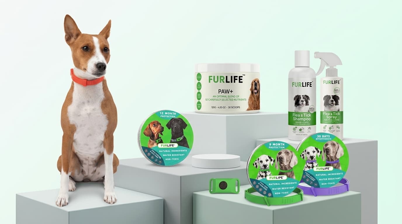 Why FurLife Is the Ultimate Destination for Pet Parents in 2026